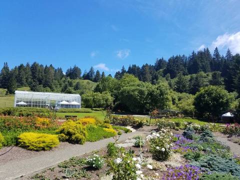 This Beautiful 45-Acre Botanical Garden In Northern California Is A Sight To Be Seen