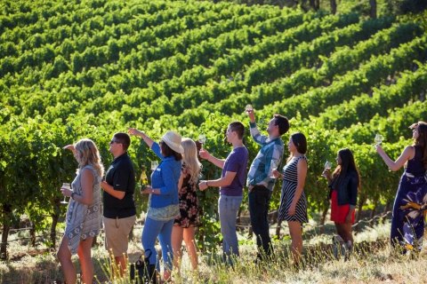 The One-Of-A-Kind Wine Hike In Northern California That Makes For An Unforgettable Day Trip