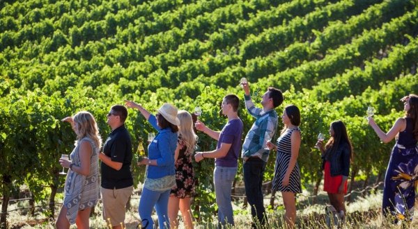 The One-Of-A-Kind Wine Hike In Northern California That Makes For An Unforgettable Day Trip