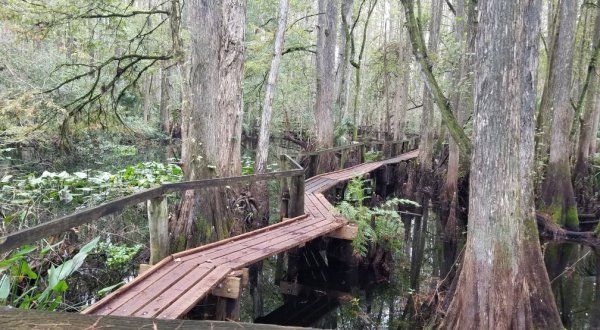 The Oldest Campground In Florida Has Made Summertime More Magical Since 1931