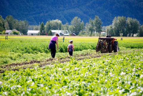 This 277 Acre U-Pick Vegetable Farm In Alaska Is The Perfect Way To Spend An Afternoon
