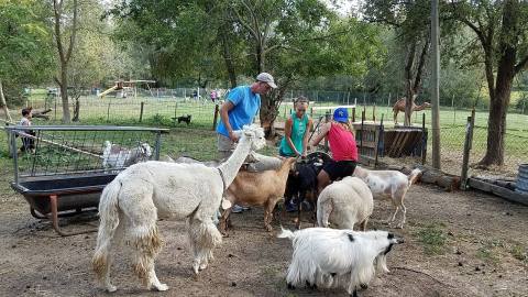 Spend A Day Relaxing With Animals At This Rescue Ranch In Nebraska