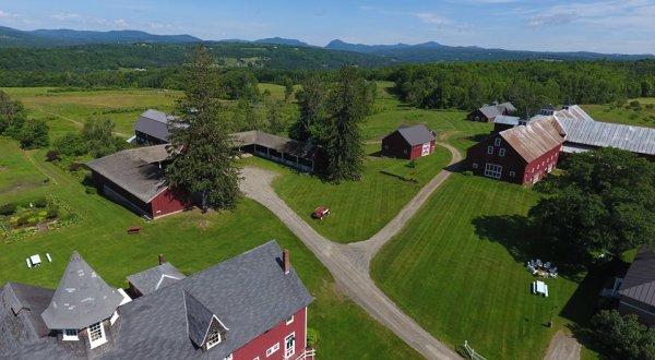 Visit This Charming Vermont Inn That’s Also Animal Sanctuary For A One Of A Kind Experience