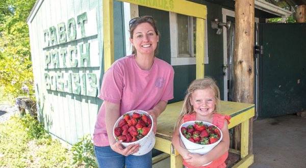 Take The Whole Family On A Day Trip To This Pick-Your-Own Strawberry Farm In Arkansas