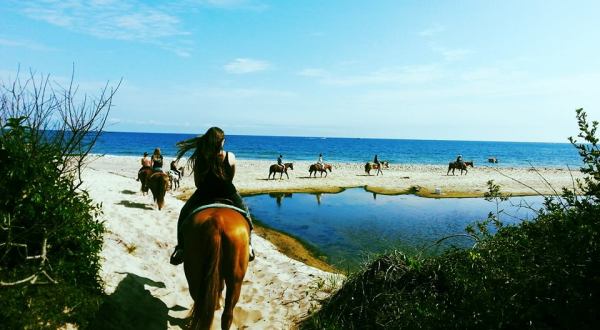 Go Horseback Riding On The Beach At The Oldest Working Ranch In New York