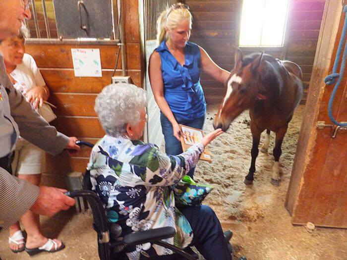 horse farms to tour in kentucky