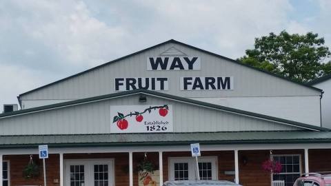 This One-Of-A-Kind Fruit Farm In Pennsylvania Serves Up Fresh Homemade Pie To Die For