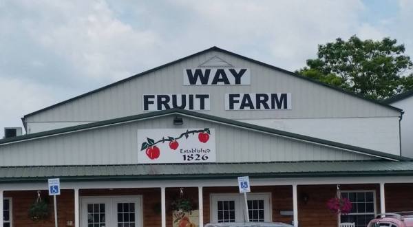 This One-Of-A-Kind Fruit Farm In Pennsylvania Serves Up Fresh Homemade Pie To Die For