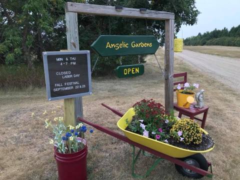 Walk Through A Victorian Garden At This Pick-Your-Own Farm In North Dakota