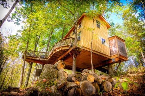 This Treehouse Resort In Kentucky May Just Be Your New Favorite Destination