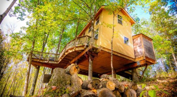This Treehouse Resort In Kentucky May Just Be Your New Favorite Destination
