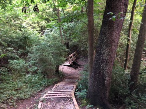 This Quaint Little Trail Is The Shortest And Sweetest Hike In Pittsburgh