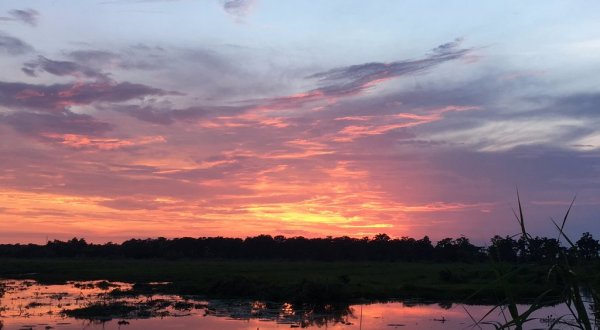 This Sunset Swamp Tour Near New Orleans Is Almost Too Good To Be True