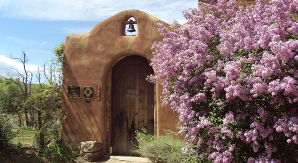 Bloom Into Spring At This Beautiful Lilac Festival In New Mexico