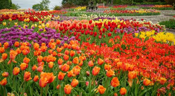 This Beautiful 1200-Acre Botanical Garden In Minnesota Is A Sight To Be Seen