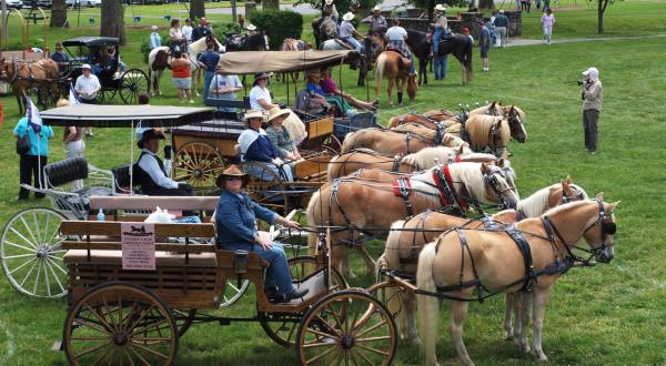 Every Marylander Should Witness This Annual Wagon Train At Least Once