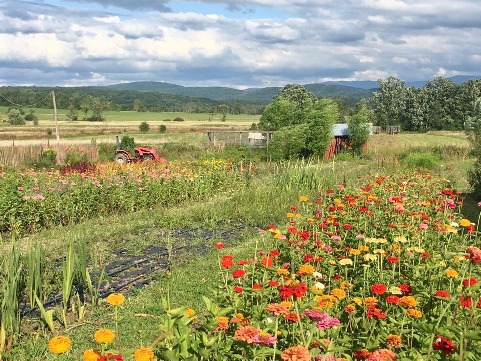 Vt Is An Enchanting Flower Farm In Vermont