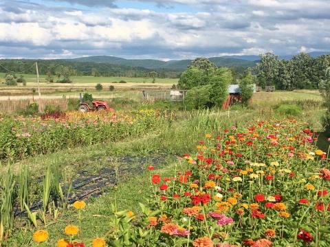 Visit This Flower Farm In Vermont For That Beautiful Scenic Experience You Crave