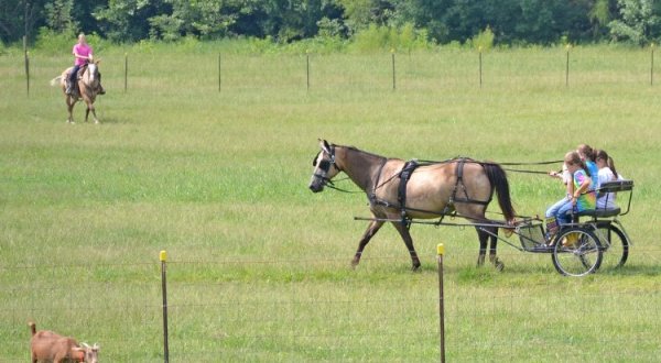 There’s A Bed and Breakfast On This Horse Farm In Mississippi And You Simply Have To Visit