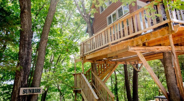 7 Amazing Treetop Adventures You Can Only Have In Missouri
