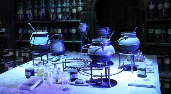 Visit The Wizarding World For A Day At This Magical Festival In New Jersey