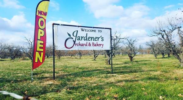This One-Of-A-Kind Farm In Missouri Serves Up Fresh Homemade Pie To Die For