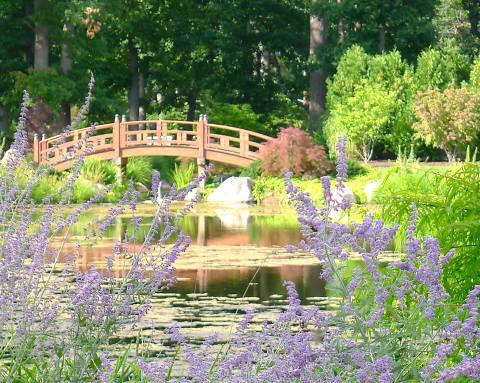 Spring Is The Most Beautiful Time Of Year To Visit This Undeniably Captivating Garden In Indiana