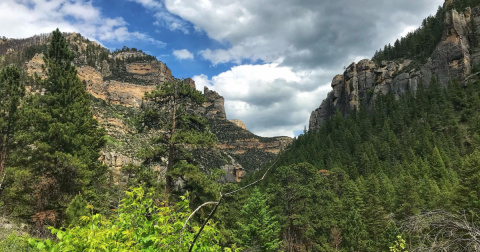 This Wild Wyoming Canyon Trail Is Full Of Surprises And You'll Want To Visit Immediately