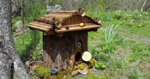 Most People Have No Idea There's A Fairy Garden Hiding In Pittsburgh And It's Magical