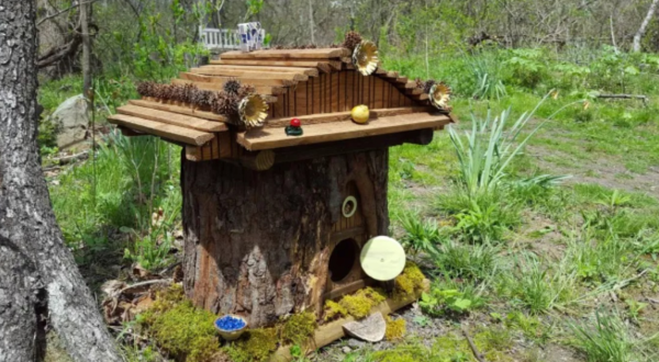 Most People Have No Idea There’s A Fairy Garden Hiding In Pittsburgh And It’s Magical