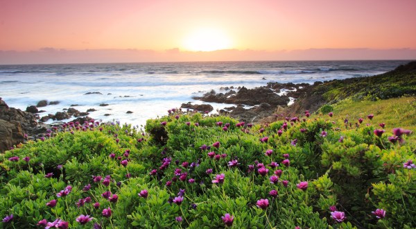 You’ll Want To Move To This Picture-Perfect Beach Town On The West Coast