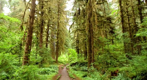 Few People Realize Olympic National Park Is Considered To Be Haunted