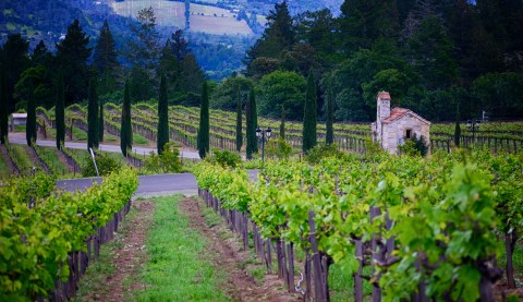 10 Reasons A Trip To Napa Valley Should Shoot To The Top Of Your Summer Bucket List