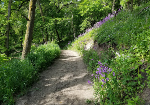 The Beautiful Oak Forest Trail In South Dakota You'll Want To Hike This Year