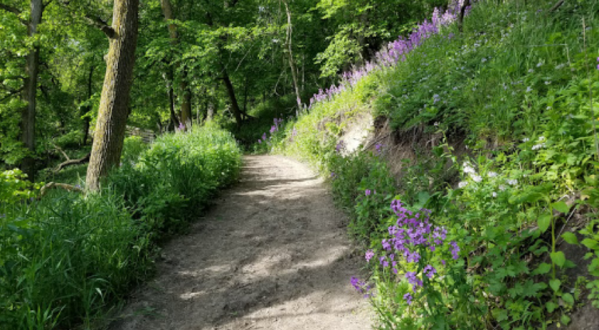 The Beautiful Oak Forest Trail In South Dakota You’ll Want To Hike This Year