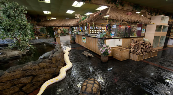 This Reptile Zoo In Southern California  Is Unlike Anything You’ve Ever Seen