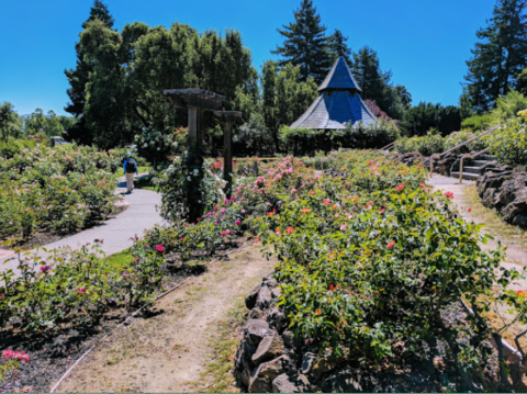 This Public Garden In Northern California Is A Magnificent Hidden Gem