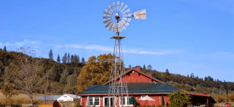 This One-Of-A-Kind Apple Farm In Northern California Serves Up Fresh Homemade Pie To Die For
