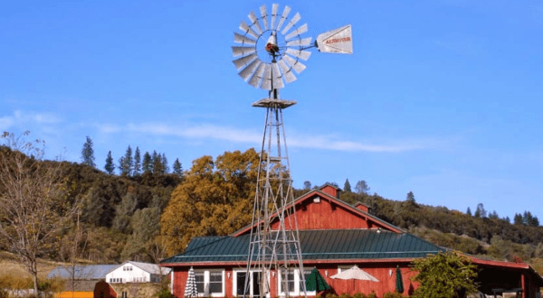 This One-Of-A-Kind Apple Farm In Northern California Serves Up Fresh Homemade Pie To Die For