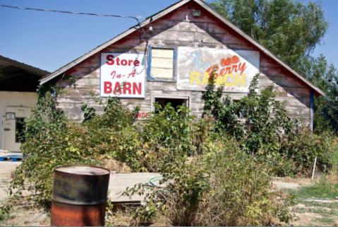 Take The Whole Family On A Day Trip To This Pick-Your-Own Strawberry Farm In Idaho