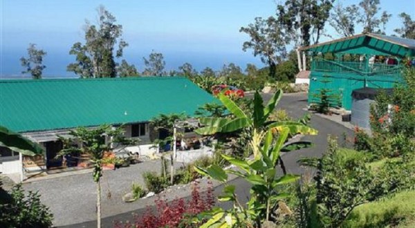 There’s A Bed and Breakfast On This Coffee Farm In Hawaii And You Simply Have To Visit
