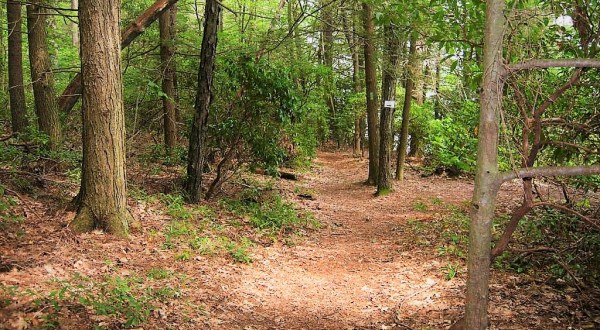 This Connecticut State Park And Forest With 30 Miles Of Trails Is A Hiker’s Paradise