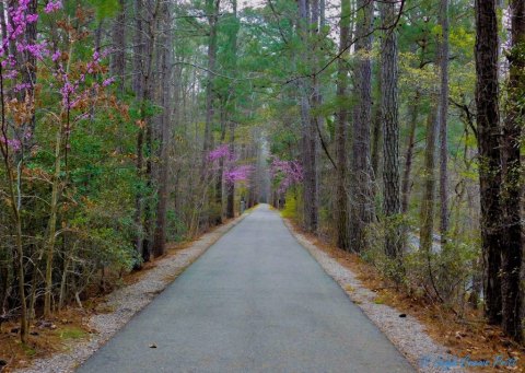 This Underrated Little Park Hiding In Virginia Is Picture Perfect For A Spring Day Trip