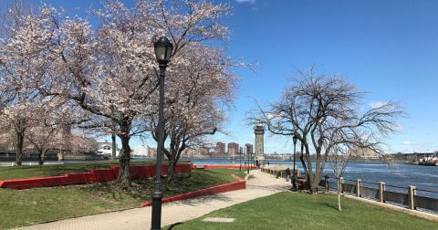 The Riverfront Park In New York That's Filled With Cherry Blossoms And Begging For A Visit
