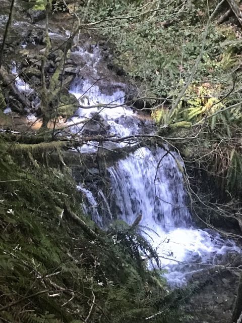 The Hike To This Little-Known Washington Waterfall Is Short And Sweet