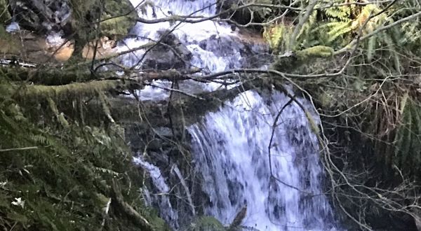 The Hike To This Little-Known Washington Waterfall Is Short And Sweet