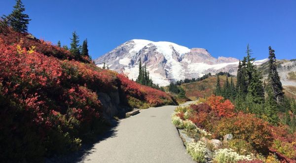 These 7 Magical Washington Trails Are Full Of Wildflowers And Waterfalls