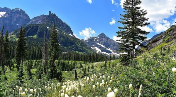 These 7 Alpine Hikes In Montana Will Turn Anyone Into A Nature Lover