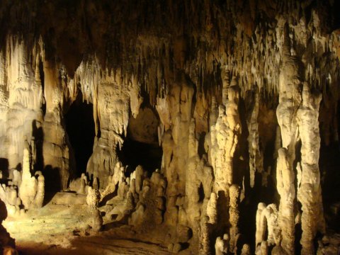 Venture Nearly 70-Feet Deep Below The Earth At These One Of A Kind Caverns In Florida