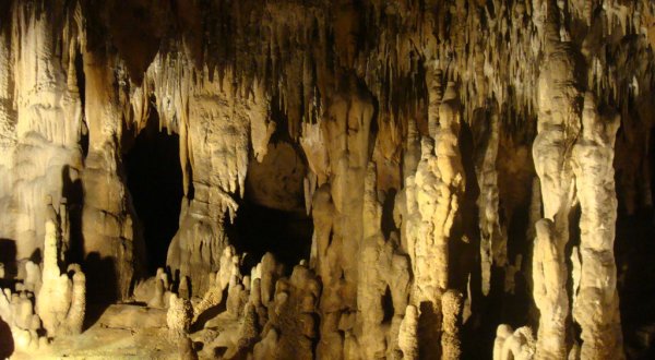 Venture Nearly 70-Feet Deep Below The Earth At These One Of A Kind Caverns In Florida